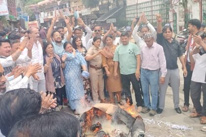 Congress protests against doctors' transfers; effigies of the Chief Minister and Health Minister burned.